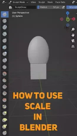 How to use scale in Blender?