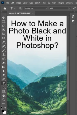 How to Make a Photo Black and White in Photoshop? - With Pictures!