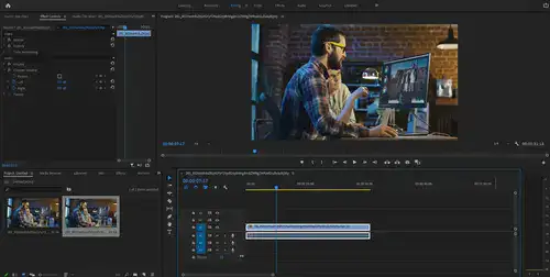 How to freeze frame in Premiere Pro?