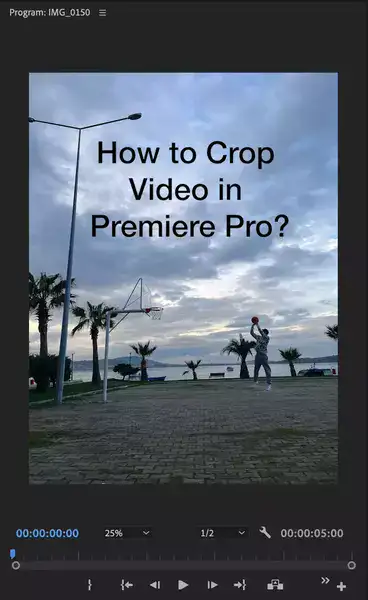 How to Crop Video in Premiere Pro? 2 Methods!