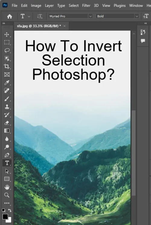 How to Invert Selection Photoshop?